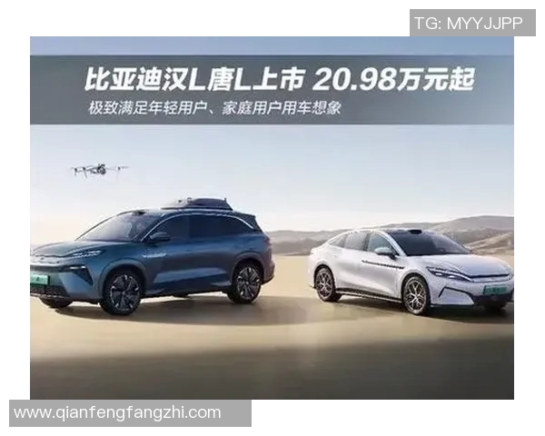 足球明星比亚迪汉的真实身份与成就揭秘